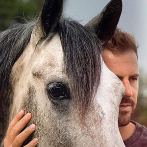 Foto Hermano caballo