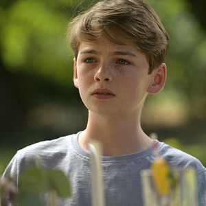 Foto Lassie (Una nueva aventura)