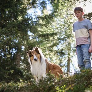 Foto Lassie (Una nueva aventura)
