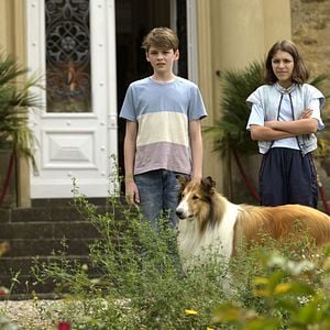 Foto Lassie (Una nueva aventura)