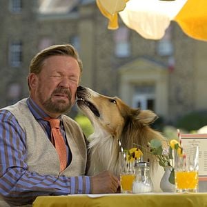 Foto Lassie (Una nueva aventura)