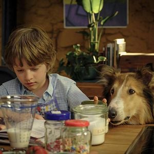 Foto Lassie (Una nueva aventura)