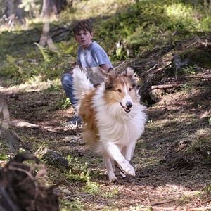 Foto Lassie (Una nueva aventura)
