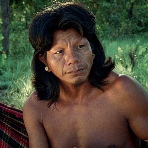 Foto La flor del Burití