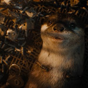 Foto Guardianes de la Galaxia: Volumen 3