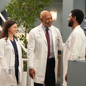 Foto Anatomía de Grey