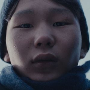 Foto Si yo pudiera hibernar