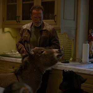 Foto Arnold Schwarzenegger