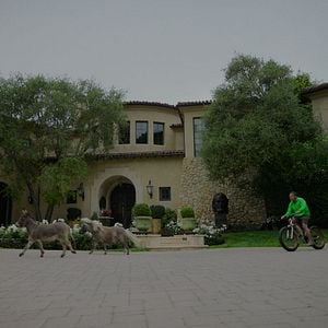 Foto Arnold Schwarzenegger