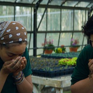 Foto El maestro jardinero