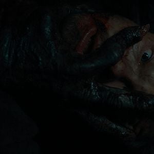 Foto Nikolai Nikolaeff