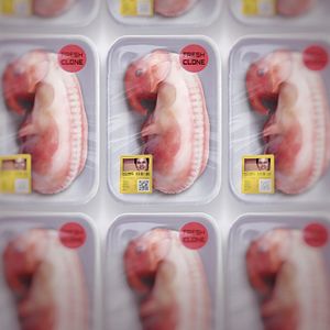 Foto El rey de los clones