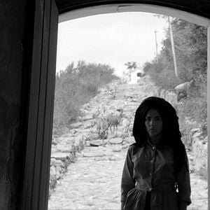 Foto Dios y el diablo en la tierra del sol