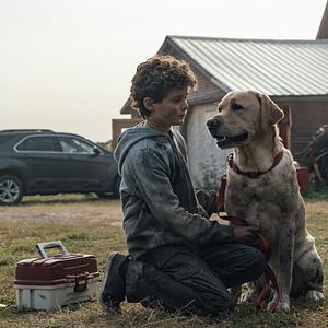 Foto Blood de Brad Anderson