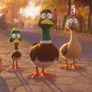 Foto Migración. Un viaje patas arriba