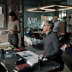 Foto La Red Púrpura