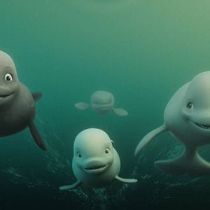 Foto Katak, la pequeña ballena