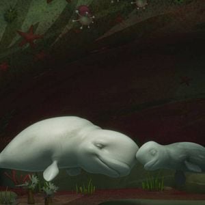 Foto Katak, la pequeña ballena