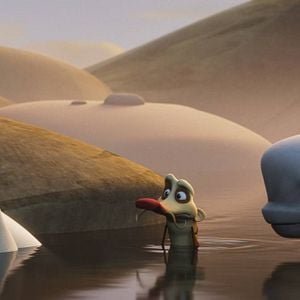 Foto Katak, la pequeña ballena