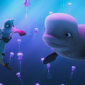 Foto Katak, la pequeña ballena