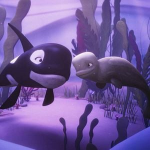 Foto Katak, la pequeña ballena