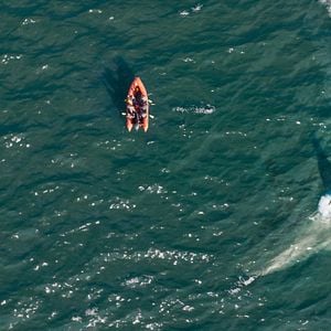 Foto Megalodón 2: La fosa