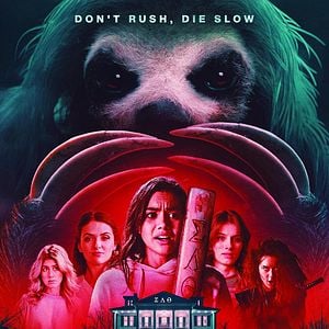 Foto Perezoso amoroso