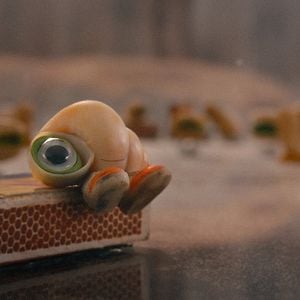 Foto Marcel The Shell With Shoes On