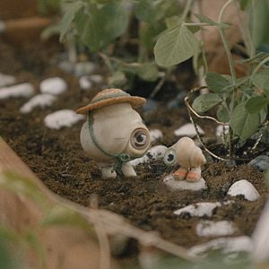 Foto Marcel The Shell With Shoes On