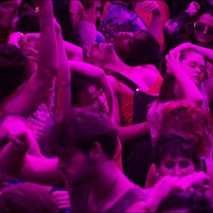 Foto La bestia en la jungla