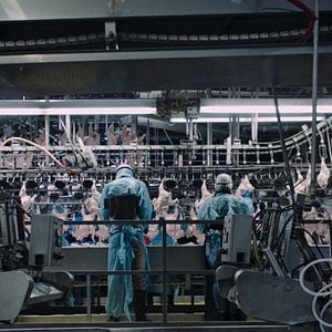 Foto Intoxicación: La cruda verdad de nuestra comida