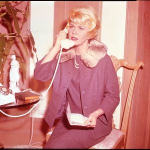 Foto Un grito en la niebla