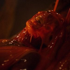 Foto Kids vs. Aliens