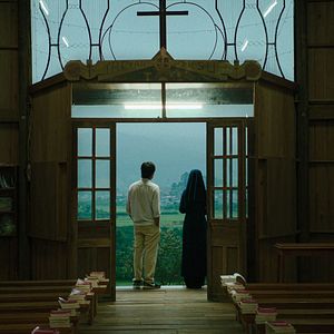 Foto El árbol de las mariposas doradas