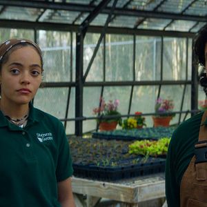 Foto El maestro jardinero