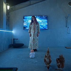 Foto Un lobo como yo