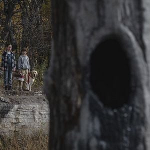 Foto Blood de Brad Anderson