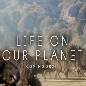 Foto La vida en nuestro planeta