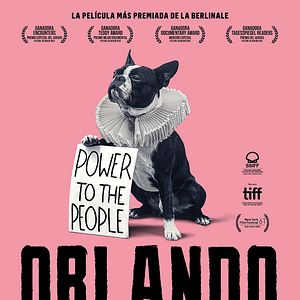 Foto Orlando, mi biografía política