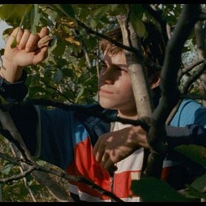 Foto La patria perdida