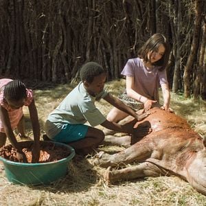 Foto Thabo y el caso del rinoceronte