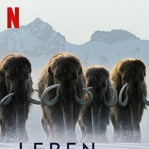 Foto La vida en nuestro planeta