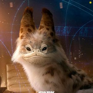 Foto Star Wars: Ahsoka