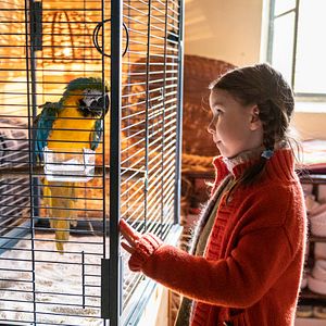 Foto Pola Friedrichs