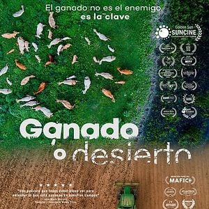 Foto Ganado o desierto