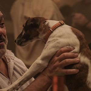 Foto Se abre la veda