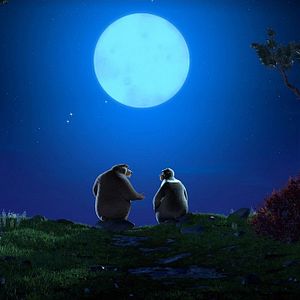 Foto Operación bebé oso