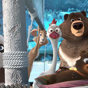 Foto Operación bebé oso