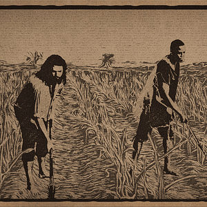 Foto Marcados al nacer