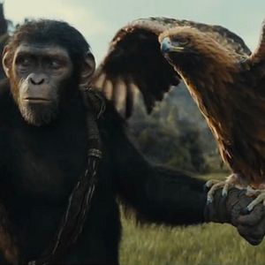 Foto El reino del planeta de los simios